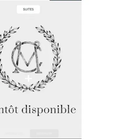 Monte Cristo 4* Parigi